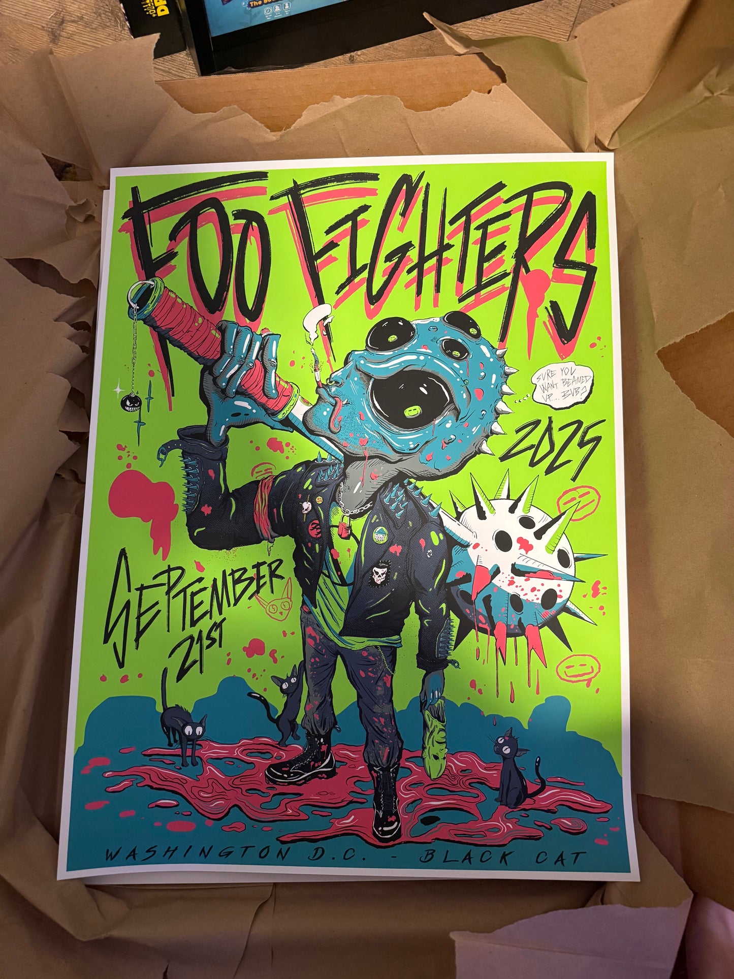 Foo Fighters - 2025 Washington D.C.